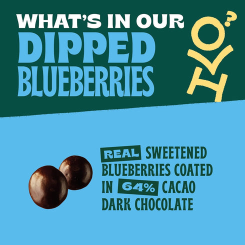 5 oz (Pack 1), Dark Chocolate Dipped Blueberries of Made With Real Sweetened Blueberries, Gluten Free, Non-GMO Project