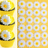CakeSupplyShop Celebrations 24pk White Daisies Sugar Decoration Toppers for Cakes Cupcakes Cake Pops