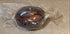 7 oz Organic Medjool Stuffed Date with Nuts : Assorted Almond, Pistachios, Sesame Seeds