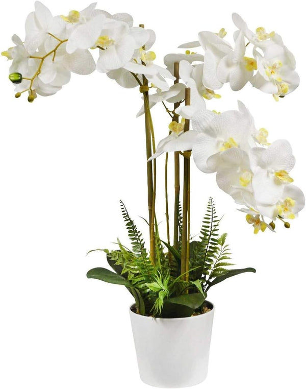 v-max 28 inches Artificial Phalaenopsis Orchid in White Round Pot