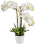 v-max 28 inches Artificial Phalaenopsis Orchid in White Round Pot