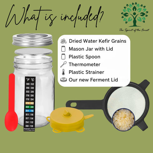 Set The Spirit Of The Forest Water Kefir Starter Fermented Probiotic Drink - Sparkling Water Seltzer - ENDLESS DORMANT
