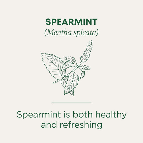 96 (6 Pack) Traditional Medicinals Tea, Organic Spearmint, Supports Everyday Wellness, Healthy & Refreshing, Tea Bags