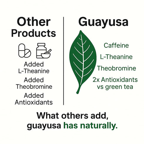 32oz (2LB) 66mg Pacha Ancient Energy Guayusa Tea - | Organic Loose Leaf Tea | Traditional Guayusa Loose Leaf | Caffeine