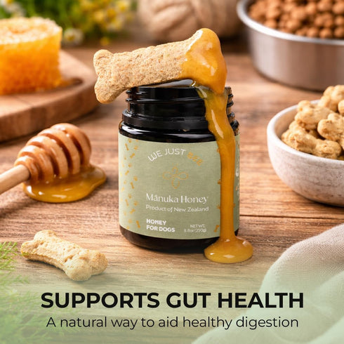 250g/8.8oz Immune, 400+ Manuka Honey for Dogs Premium New Zealand Dog Food Topper & Natural Treat | Raw Honey for Dogs