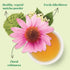 Immunity Pack 100 The Republic of Tea Organic SuperGreen Green Tea, Refill of Tea Bags,Gluten Free