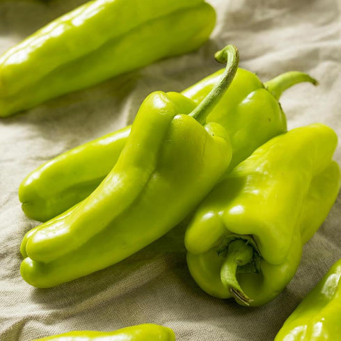 Tropical Importers (2 Fresh Cubanelle Peppers Sweet Cuban Capsicum Annuum Pounds) Perfect for Cooking, Frying