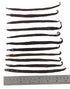 12 Large Vanilla Beans Grade A for Making Vanilla Extract - NON-GMO Planifolia Type Bulk, 6-8 Inches