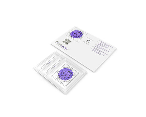 Pack 3 Yogurt Starter Cultures - of Freeze-dried Culture Sachets for Balkan Style Plain Yogurt