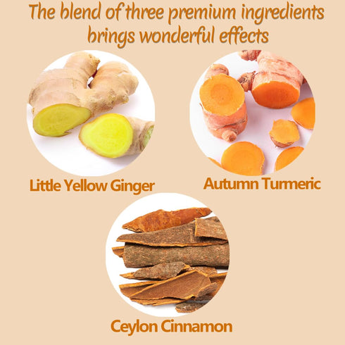 120 100% Premium Turmeric, Ginger, Cinnamon Blend Tea Bags, Natural & No Additives & Caffeine Free.