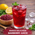 American Best Food 100% (1 Premium Quality Dried Barberries (Zereshk), Fresh & Natural, Pound)