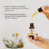 20ml Abeja Reyna Melipona Honey Raw & Unfiltered