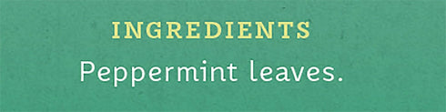 6 30 (180 Stash Tea Peppermint Herbal Tea, Boxes of Tea Bags Each Tea Bags Total)