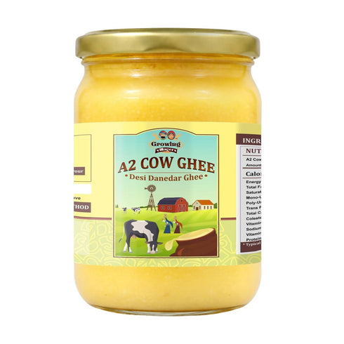 Growing Villagers A2 16.9 oz (500ml) A2 Cow Ghee fl Glass Jar | Traditional Bilona Method Cultured Desi Ghee | Made
