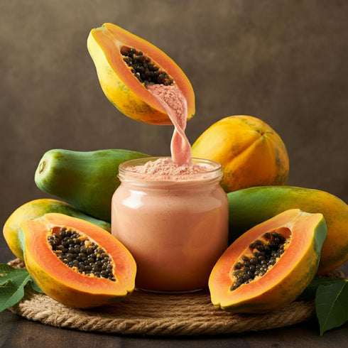 1 LB Indus Farms Papaya Fruit Powder Natural Papain Tenderizer for Marinades, Sauces & Cooking | Smoothies, Baking, DIY