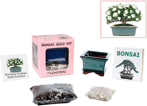 Eve's Garden, Inc Eve's Dwarf Gardenia Bonsai Seed Kit, Flowering, Complete Kit to Grow Dwarf Gardenia Bonsai from Seed