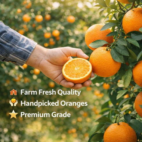 Generic 4 lb, Navel Oranges Sweet Seedless Citrus Fruit, Easy Peel Fresh Juicy Oranges, Healthy Fresh Fruit