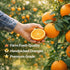 Generic 4 lb, Navel Oranges Sweet Seedless Citrus Fruit, Easy Peel Fresh Juicy Oranges, Healthy Fresh Fruit