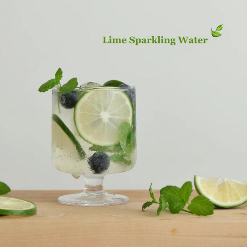 SXETBEAN 3.5oz/100g Dried Lime Slices, Dehydrated Limes, Natural Dried Limes for Cocktails, Crafts, Cake Decoration