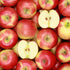 Signature Orchard Gift Box from Capital City Fruit