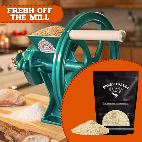 Filberts/Hazelnuts, packed 1 lb. (16 oz.) BLANCHED Skinless Raw Premium Quality Flour, Vegan, KETO, Substitute, Kitchen