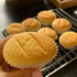 Generic (Pack 2) 150g of Chiffon Cake Mix - Soft and Airy Sponge Cake Flour