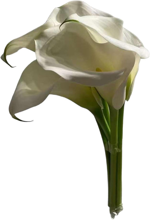 10 White Calla Lilies Fresh Cut Flower Los Angeles Flower Market Birthdays Anniversaries Friendship and Love Gifts
