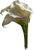 10 White Calla Lilies Fresh Cut Flower Los Angeles Flower Market Birthdays Anniversaries Friendship and Love Gifts