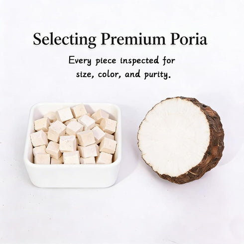 Vervebhy 8oz (227g) Poria, Natural Herbal Ingredient for Beverage, Soup, Porridge & Baking, No Additives, No Sulfur