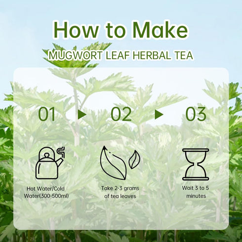 HANFANGLING Mugwort Leaf Herbal Tea - Loose Leaf Natural Mugwort Sprouts, 1.76oz