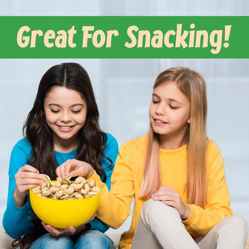 1LB Sincerely Nuts Large Pistachios Roasted Salted in Shell Bag Healthy Snack Food Source of Fiber, Protein, Vitamins