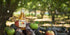 Martinelli's 10 (Pack 12) Sparkling Apple Juice, Ounce
