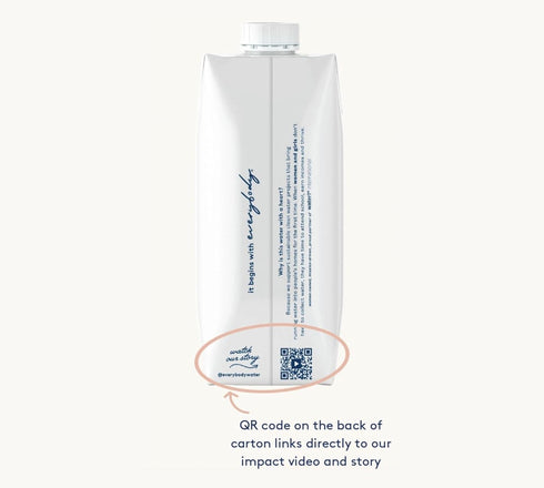 12 Pack 16.9 Oz 500ml (Pack 12) Everybody Water, Boxed Water, Premium Filtered Still Waters, Reverse Osmosis, Bulk