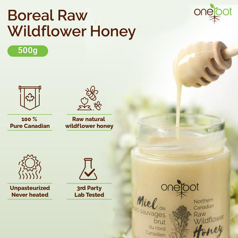500g 1.1 lbs Antioxidant-Packed OneRoot Raw Honey Bundle Buckwheat & Canadian Wildflower Honey Unheated & Nutrient-Rich