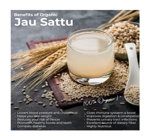 GHOTARAM Sattu-480g(pac 2x 240g) Home Made' Barley Jau Sattu, Roasted Jau Dhani Flour, Organic Barli, Jav Barley Jau