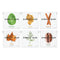 Simply Gum Variety Pack, Peppermint, Cinnamon, Ginger, Fennel, Maple, Coffee