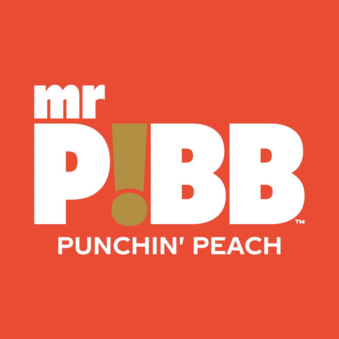 12oz 12pk Mr Pibb Punchin' Peach