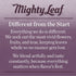 3 100% Mighty Leaf Tea, Organic Matcha Green Tea Powder - Ounce Bag, Japanese Matcha, Unsweetened