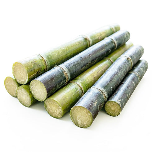 Tropical Importers Fresh Sugar Cane Sugarcane Saccharum Officinarum (5lb)