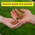 1.5 (Pack 8), Absurd Snacks Chickpea & Granola Crunch Mix, Nut-Free, Gluten-Free, Plant-Based Snack, Good Source