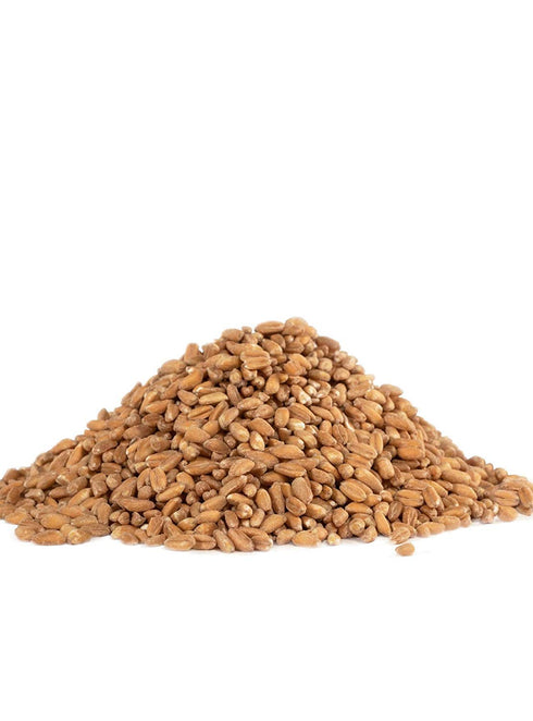 24 (Pack 4) Bob's Red Mill Organic Farro Grain, Ounce
