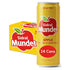 Sidral Mundet - Mexican Soda Soft Drinks, Apple (12 oz, 355ml) 24