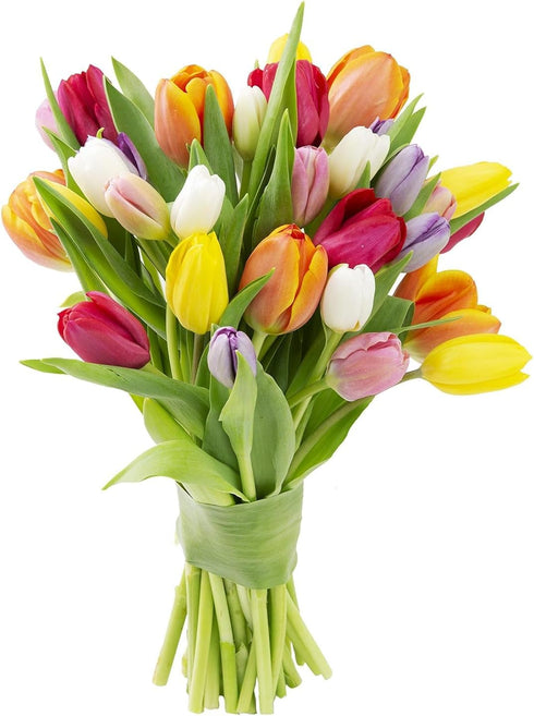 KaBloom - Bouquet of 20 Assorted Tulips with Vase - Fresh Flowers