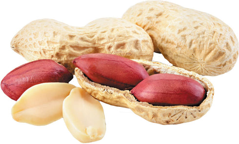 Nuttaboom 8oz Peanut Cream Spread Natural Nut Butter with Shea Butter & Organic Coconut Oil, No Palm Oil, Healthy Bread