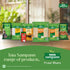 Tata Sampann 500 Unpolished Kabuli Chana, g, (Medium Size)
