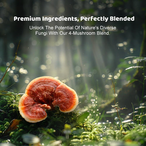 30 3.7 oz Hellomush Organic Instant Mushroom Coffee with Lions Mane, Reishi, Chaga and Cordyceps Coffee Servings