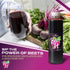 25.4 Fl.oz (6 Pack) 100% Packed BEET IT Organic Beet Juice, | Non GMO, Natural Organic Juice- Gluten Free, No Added