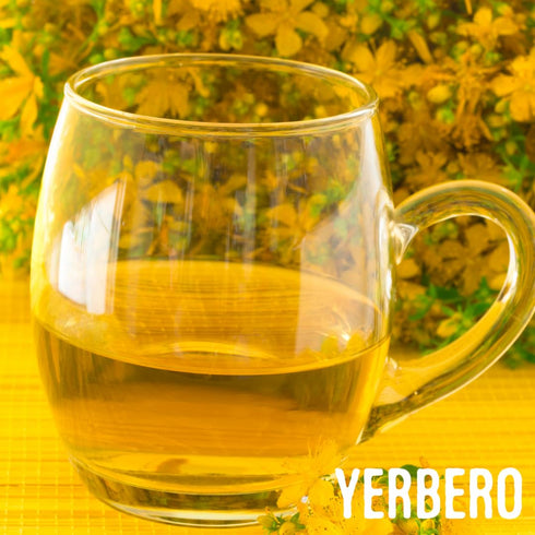 Yerbero St John's Wort Herbal Loose Tea, 2oz (56g) Cut & Sifted, Premium Quality All Natural Tea, non-GMO