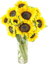 KaBloom - Fresh Sunflowers with vase - Fresh Flowers for Birthday, Valentine's