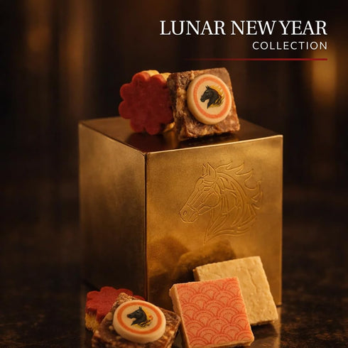 (16 Laumire Gourmet Fruits Lunar New Year Collection - Square Pcs) Gong Xi Fa Cai Chinese New Year Good Luck Candy